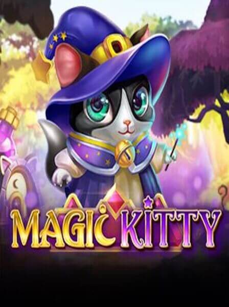 Top Games to Play at Studio77 Casino for Maximum Fun