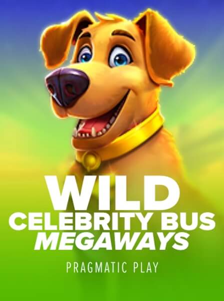Exploring the Exciting Features of MegaSlots Hub for Enthusiastic Players